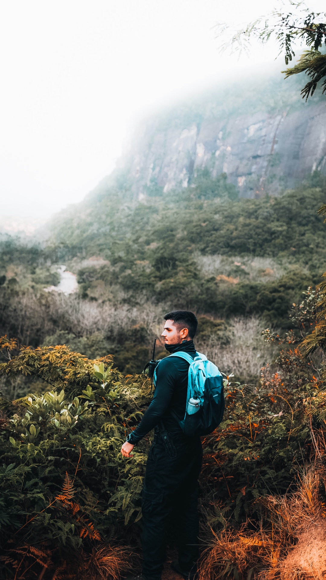 Trilheiro em mata com neblina